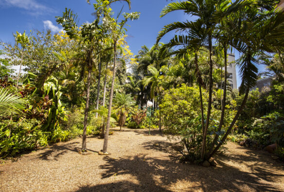 29 - 86_b0f1fe64154443909bb51f40e8475da2