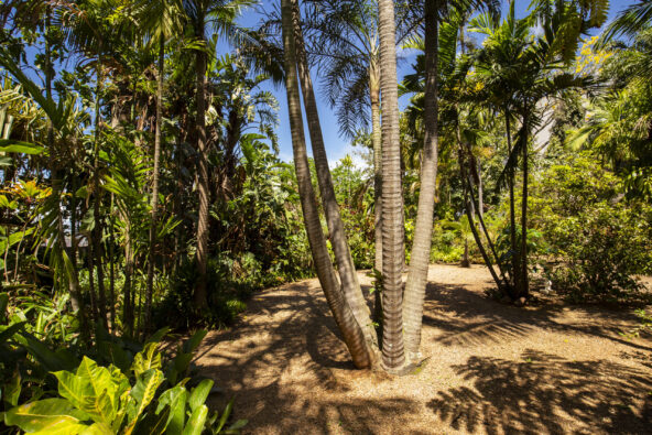 30 - 86_4592df273bde42e7925b6be0049911a6