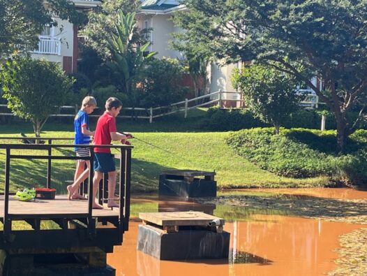 60 - 86_df92d87953e44bf9a3f5cfa511641583