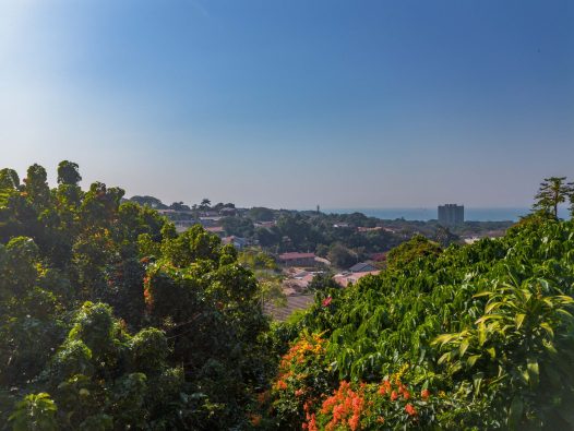 DJI_0021