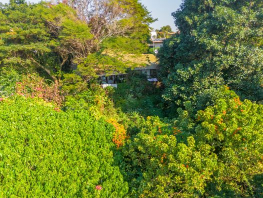 DJI_0030