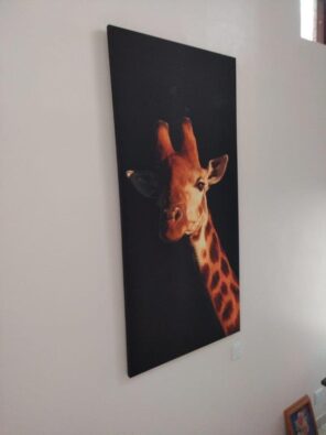 IMG-20230316-WA0093