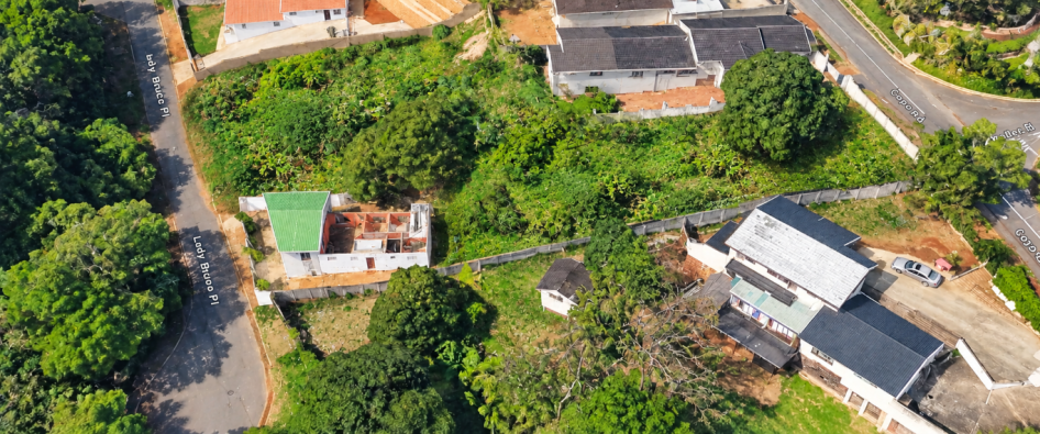 Overgrown Greenery Between Suburban Homes