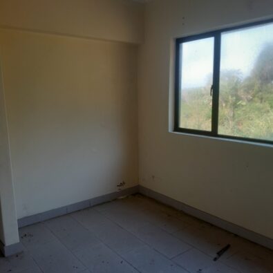 Picture 07