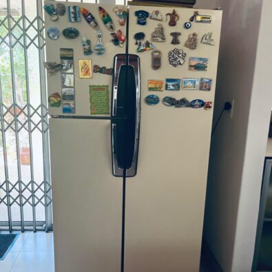 WhatsApp Image 2026-02-11 at 11.30.12 (71)