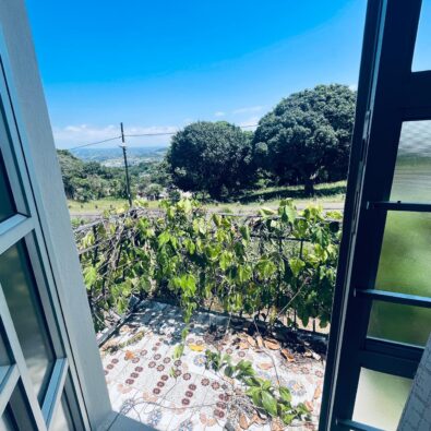 WhatsApp Image 2026-02-11 at 11.30.12