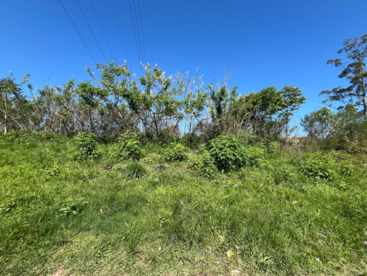 esser road 11